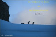 2012 xmas card