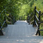 Steps at Mont Royal, Montreal