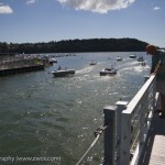 Rochester River