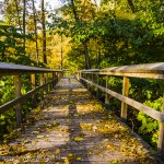Wood Walkway