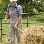 Farmer