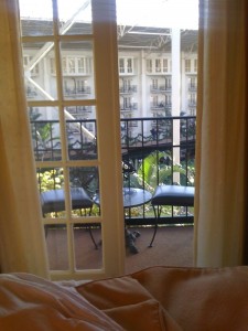 Picture 003