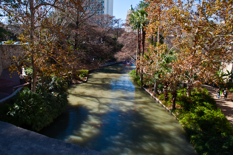 zwcx_20110118_7423