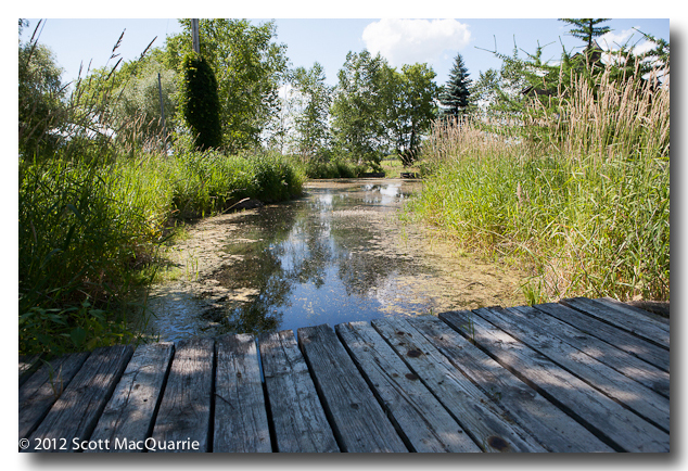 ZWCX_120623_6481
