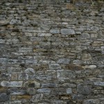 A tree grows on the wall of Eastern State Penitentiary