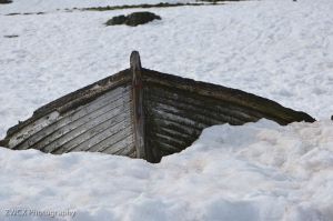 zwcx_111203_0357.jpg