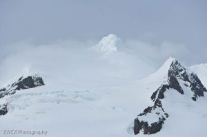 zwcx_111203_0440.jpg